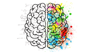 Left side and right side of the brain